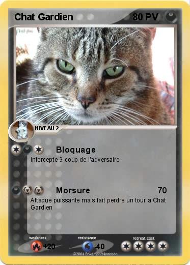 Pokemon Chat Gardien