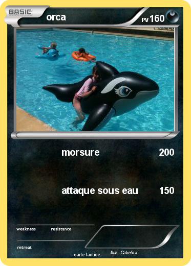 Pokemon orca
