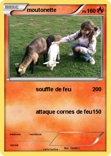 Pokemon moutonette
