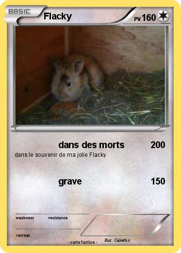 Pokemon Flacky