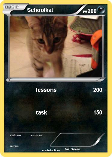 Pokemon Schoolkat