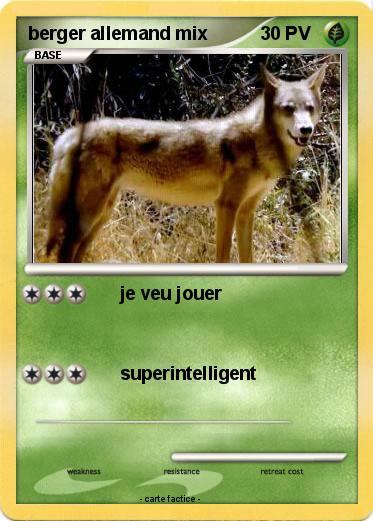 Pokemon berger allemand mix