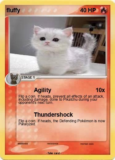 Pokemon fluffy