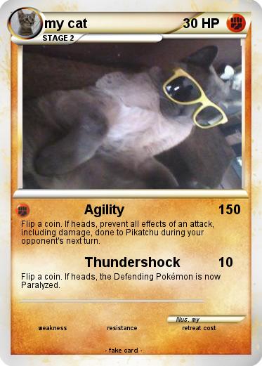 Pokemon my cat