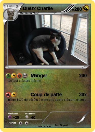 Pokemon Dieux Charlie