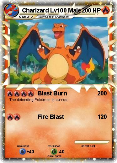 Pokemon Charizard Lv100 Male