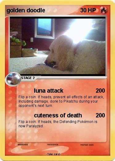 Pokemon golden doodle