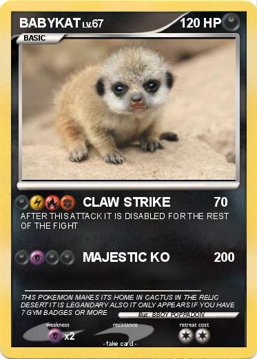 Pokemon BABYKAT