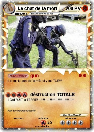 Pokemon Le chat de la mort