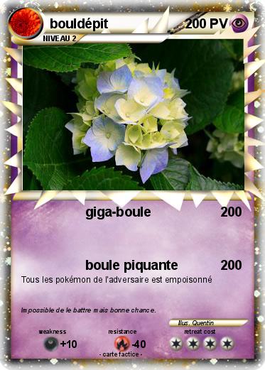 Pokemon bouldépit