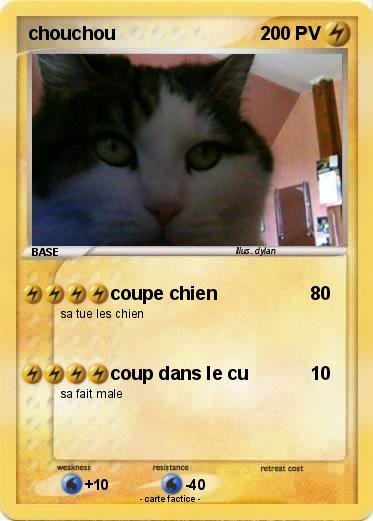 Pokemon chouchou
