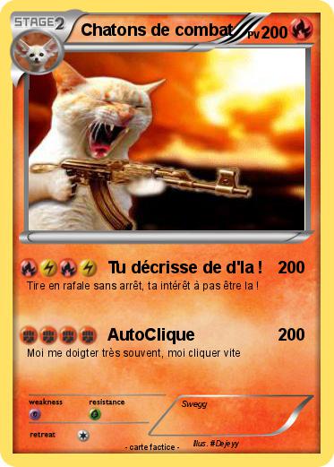 Pokemon Chatons de combat
