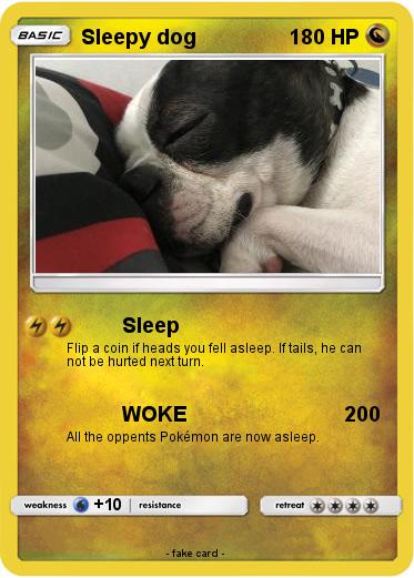 Pokemon Sleepy dog