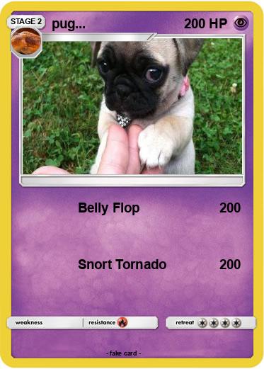 Pokemon pug...