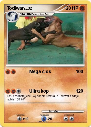 Pokemon Todiwar