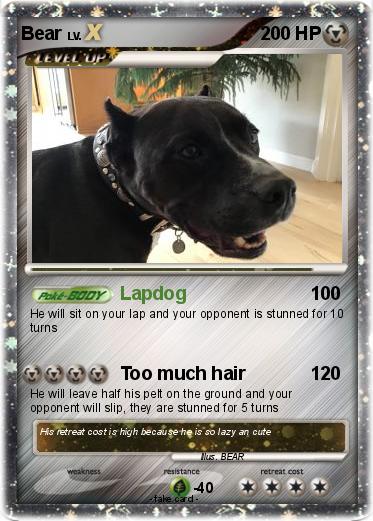 Pokemon Bear