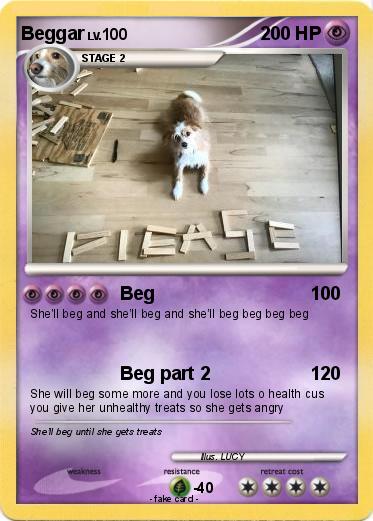 Pokemon Beggar