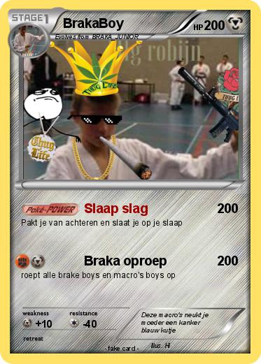 Pokemon BrakaBoy