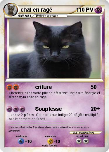 Pokemon chat en ragé