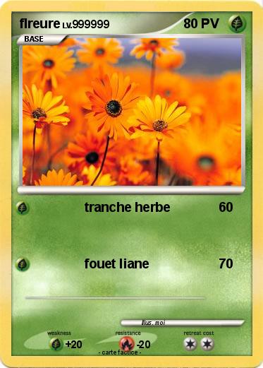 Pokemon flreure
