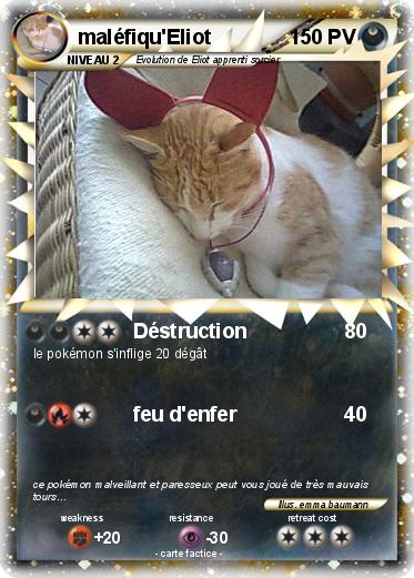 Pokemon maléfiqu'Eliot