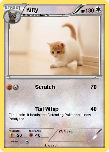 Pokemon Kitty