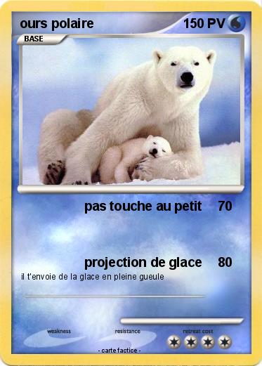 Pokemon ours polaire