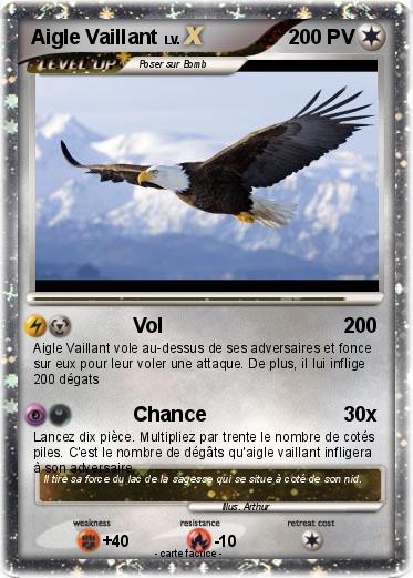 Pokemon Aigle Vaillant