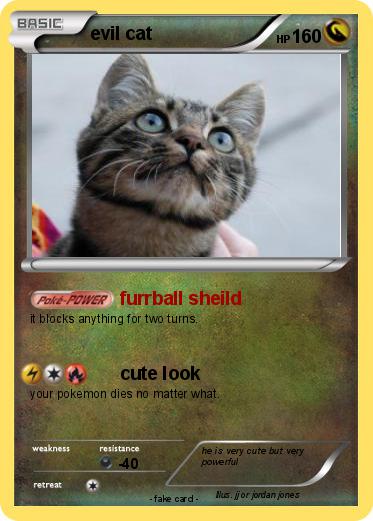Pokemon evil cat