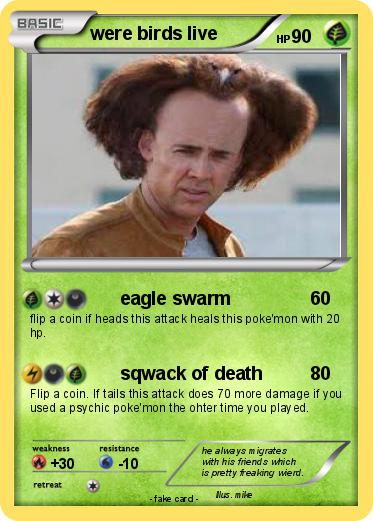 Pokemon were birds live
