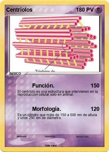 Pokemon Centríolos