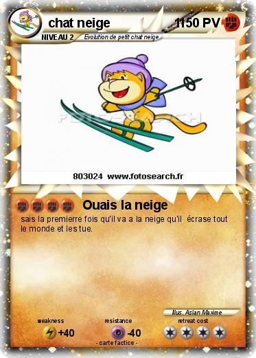Pokemon chat neige                  1