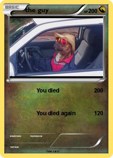 Pokemon the guy