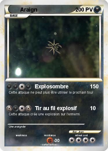 Pokemon Araign