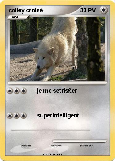 Pokemon colley croisé