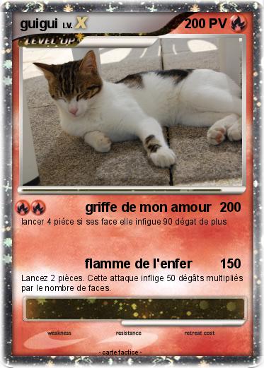 Pokemon guigui