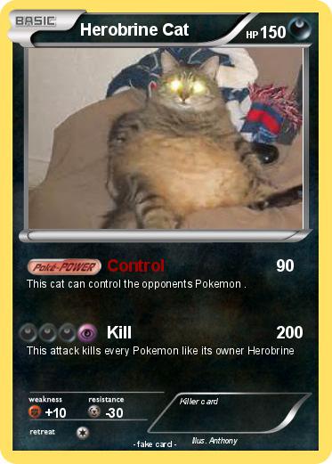 Pokemon Herobrine Cat
