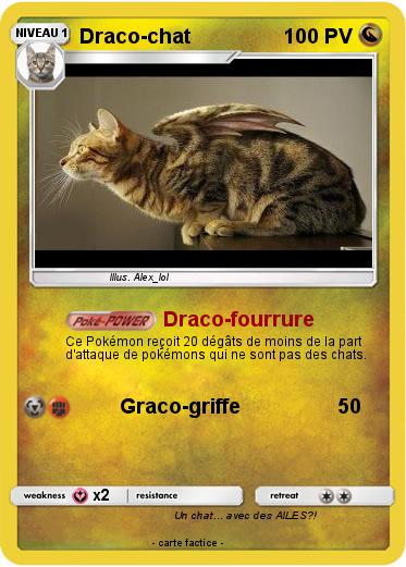 Pokemon Draco-chat