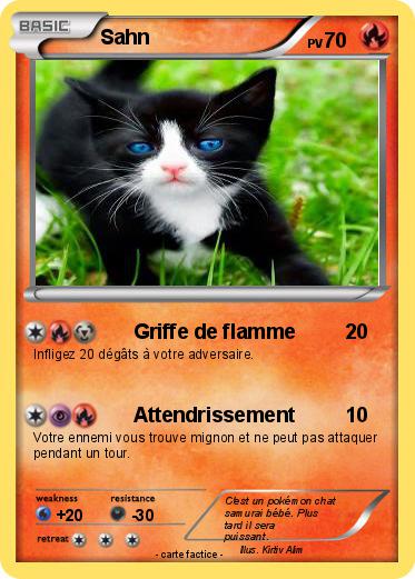 Pokemon Sahn