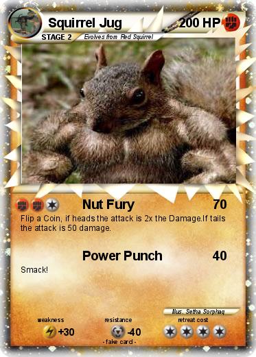 Pokemon Squirrel Jug