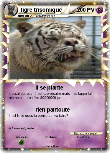 Pokemon tigre trisomique