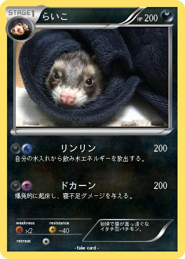 Pokemon らいこ