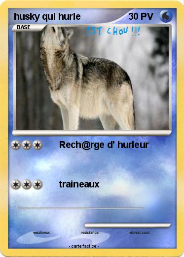 Pokemon husky qui hurle