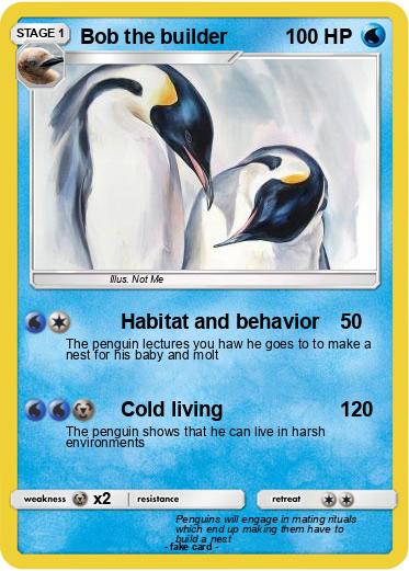 Pokemon Bob the builder