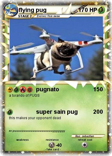 Pokemon flying pug