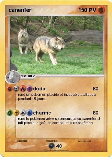 Pokemon canenfer