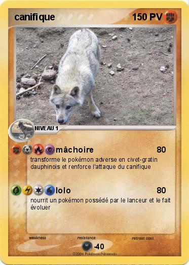 Pokemon canifique