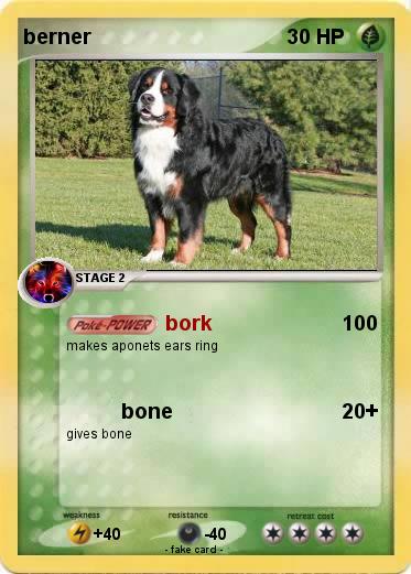 Pokemon berner