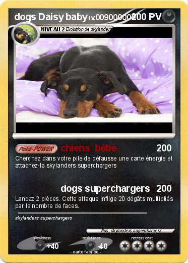 Pokemon dogs Daisy baby