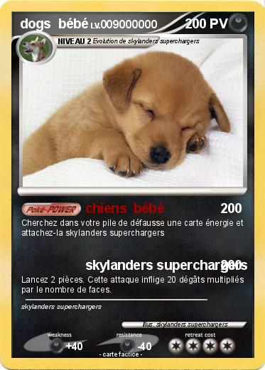 Pokemon dogs  bébé